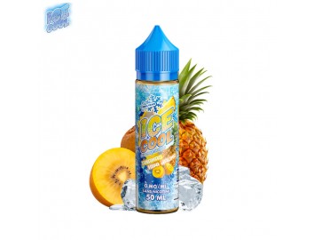 Ananas Kiwi Jaune 50ml Liquid'Arom