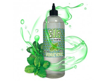 Menthe verte 1L Big Juice